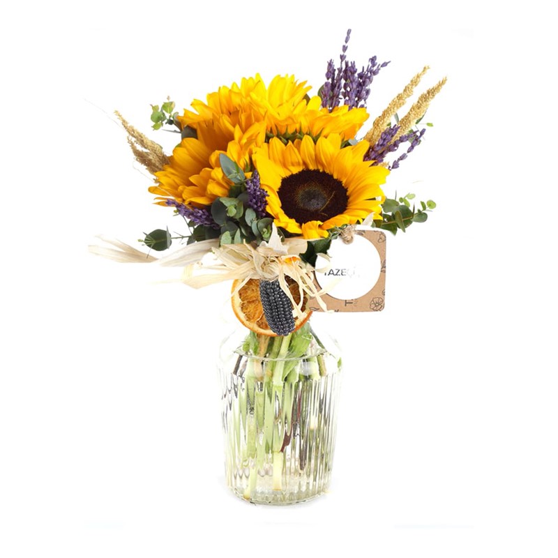 Sweetcorn & Sunflower