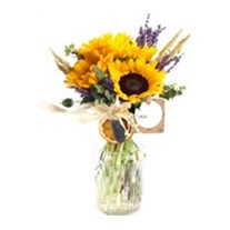 Sweetcorn & Sunflower