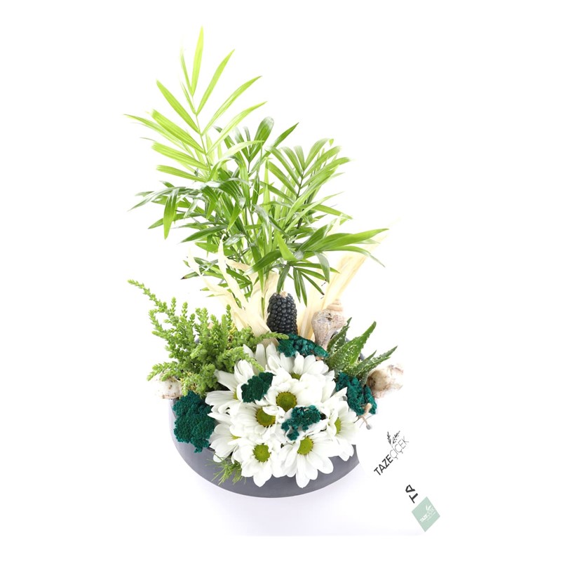 Sending a Garden of Love Papatya