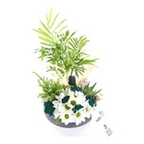 Sending a Garden of Love Papatya