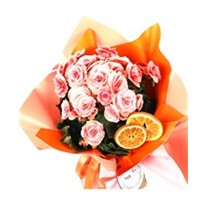 For Everywhere Begonia Çiçeği