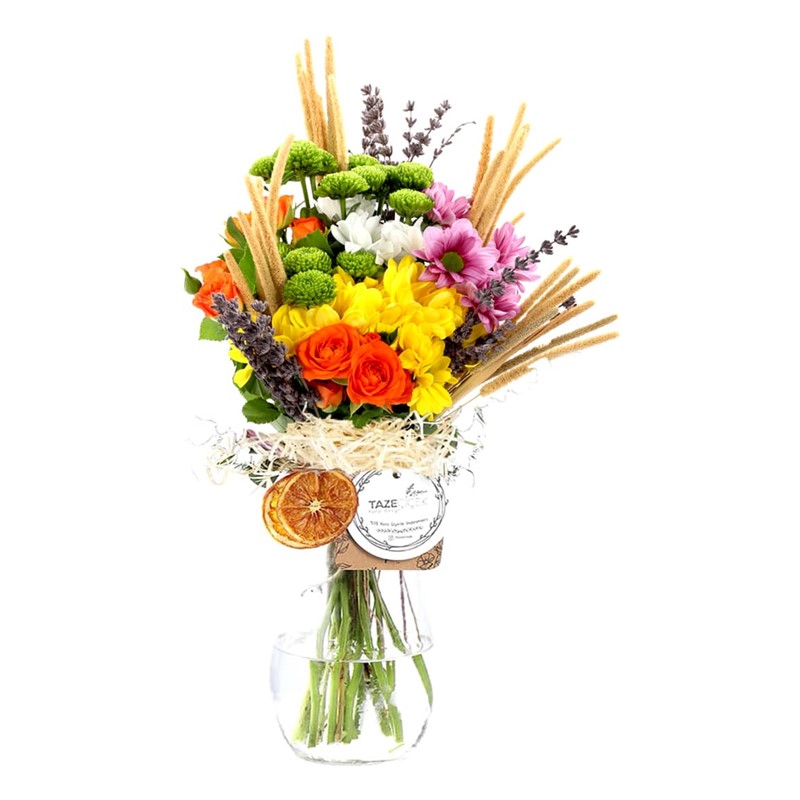 Bloomsy Deluxe Daisy Papatya