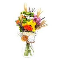 Bloomsy Deluxe Daisy Papatya