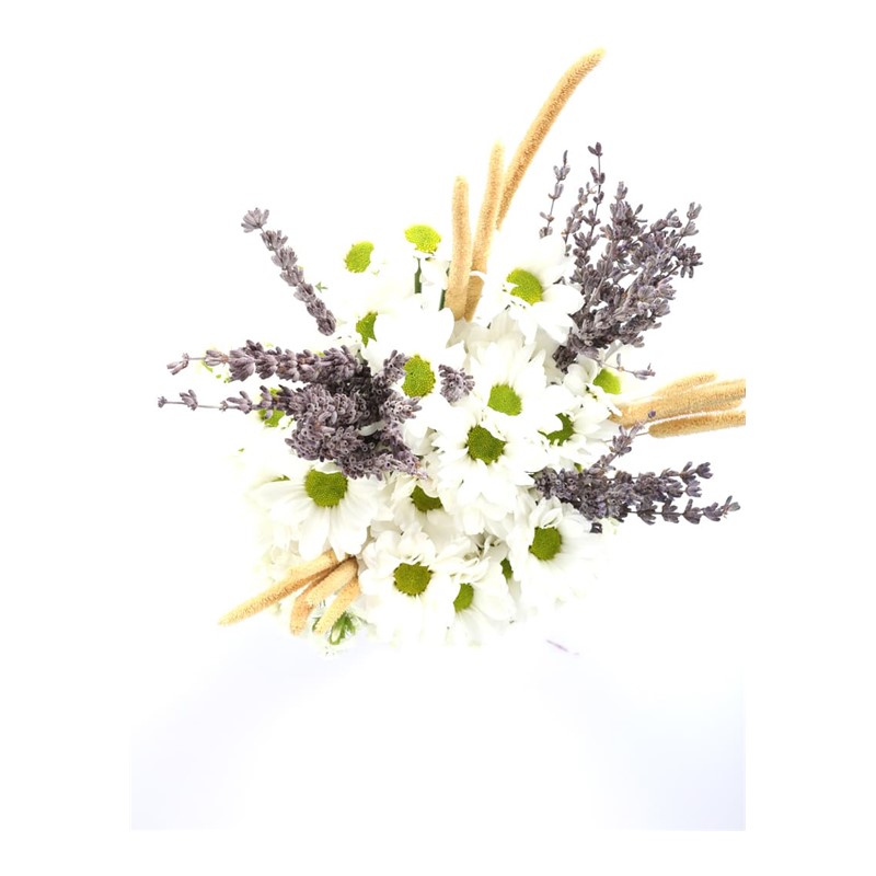 White Gift of the Moon Papatya