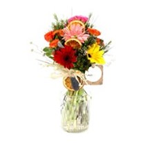 Colorful Vintage Gerbera