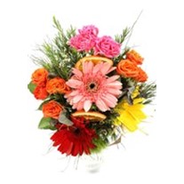 Colorful Vintage Gerbera