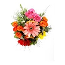 Colorful Vintage Gerbera