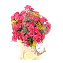 Beautiful Spirit Pink Wishes Güller
