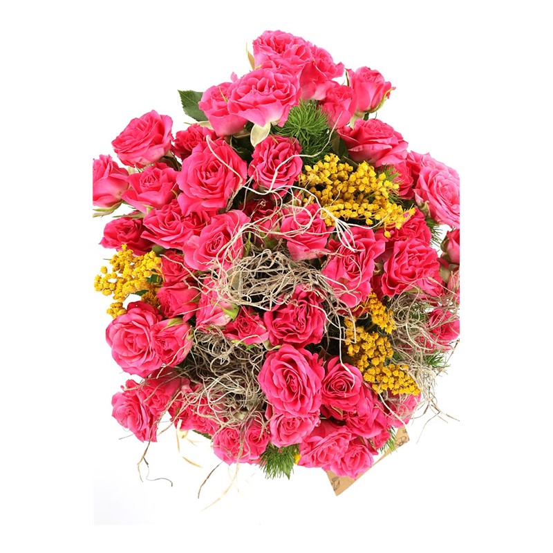 Beautiful Spirit Pink Wishes Güller