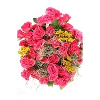 Beautiful Spirit Pink Wishes Güller