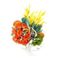 Orange Pixies Star