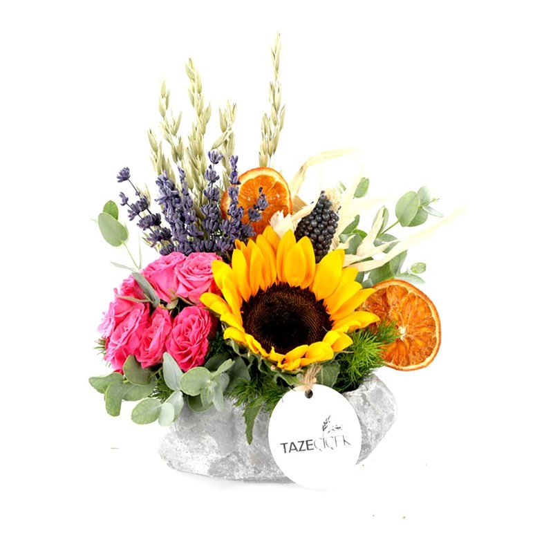 Pink & Summer Sunflower