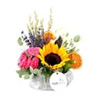 Pink & Summer Sunflower