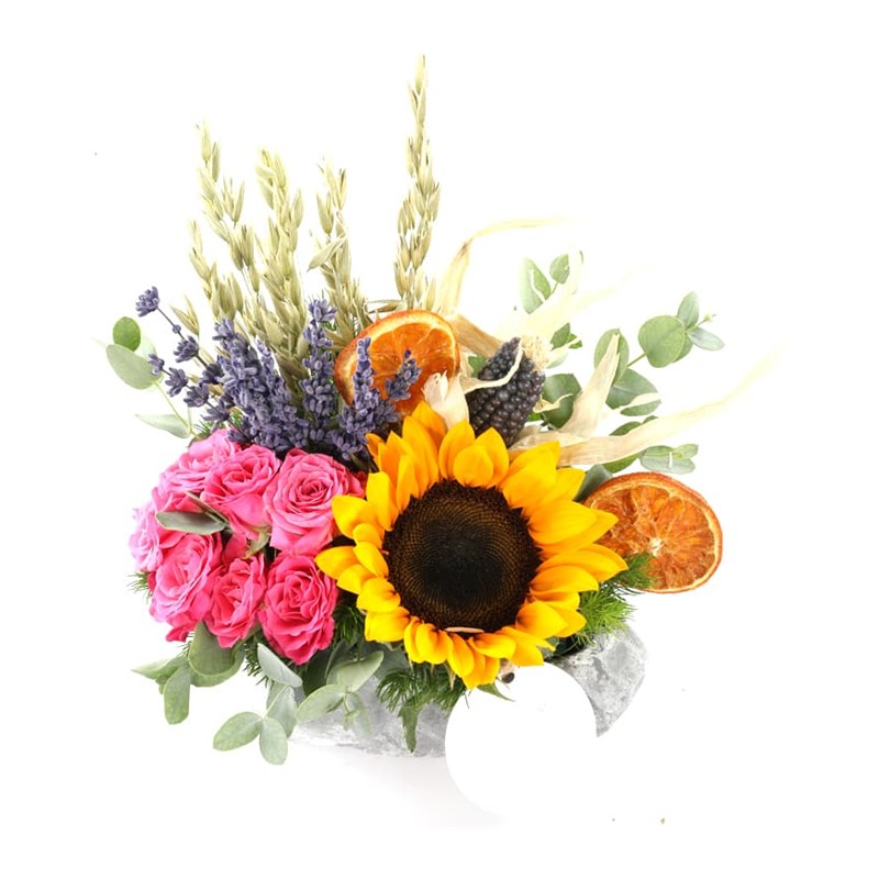 Pink & Summer Sunflower