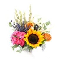 Pink & Summer Sunflower