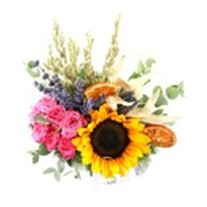 Pink & Summer Sunflower