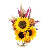 Summer Flower Symphony