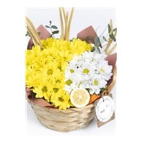 Invite to Happy Feelings Papatya