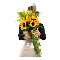 PRO & Honey Be Sunflower