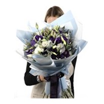 PRO & Colour Ball Lisianthus