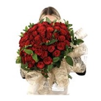 PRO & Everythink For You