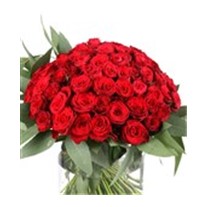 Classic Love & Red Roses