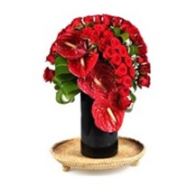 Red Roses & Partner to Love