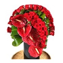 Red Roses & Partner to Love