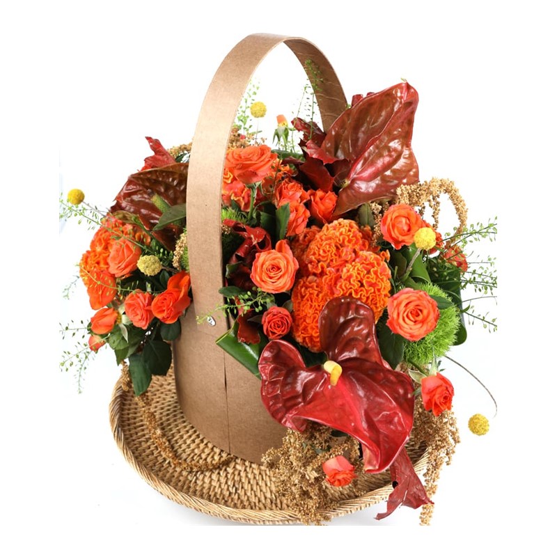 Pastel Orange & Best Design