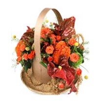 Pastel Orange & Best Design
