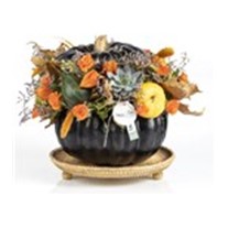 Pumpkin İnfinite