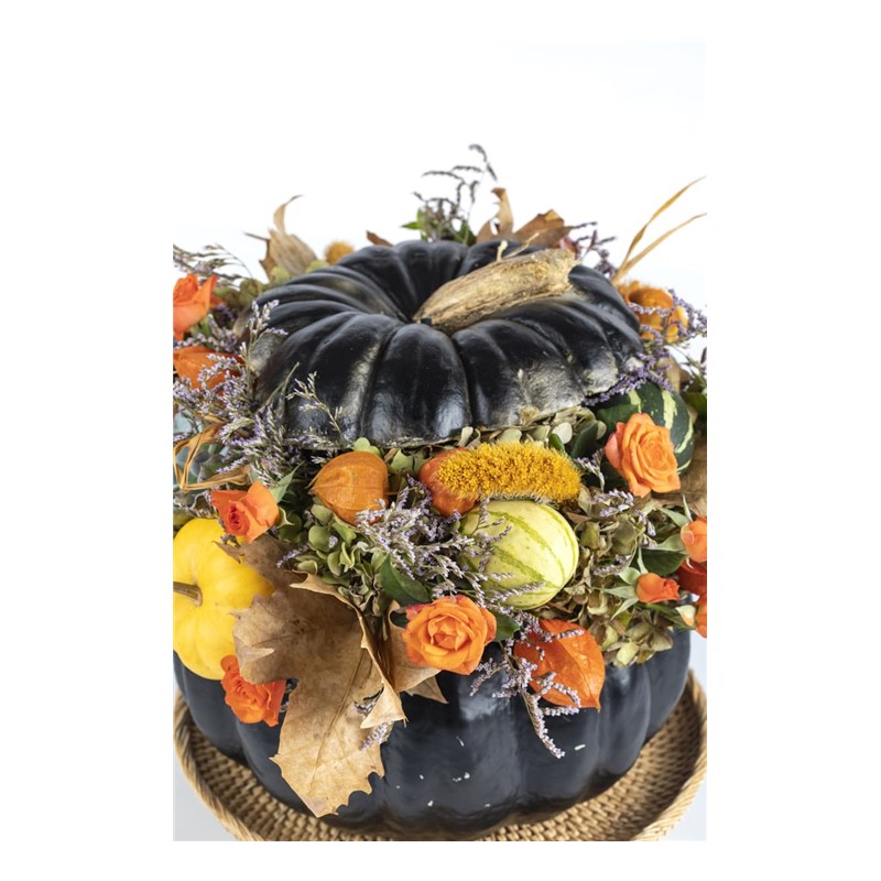 Pumpkin İnfinite