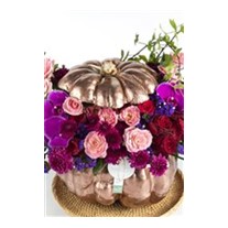 Pumpkin Purple Hope