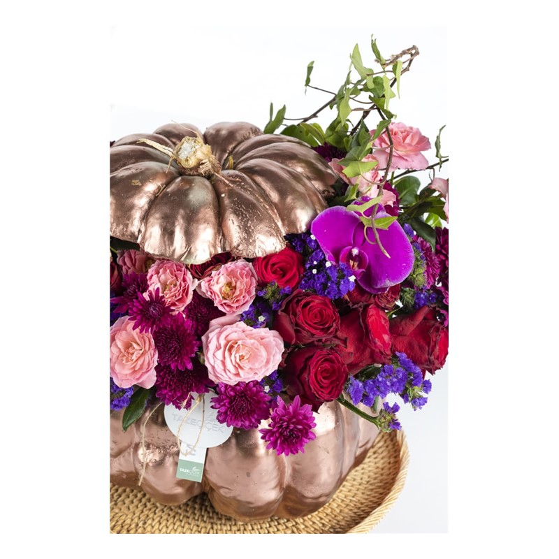 Pumpkin Purple Hope