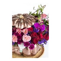 Pumpkin Purple Hope