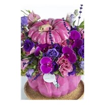 Pumpkin Chirping Birds