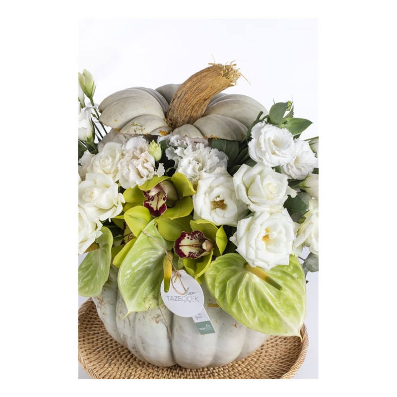 Pumpkin & Best Gifting