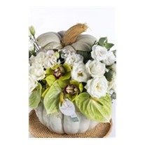 Pumpkin & Best Gifting