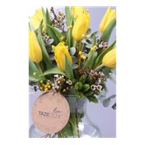 Yellow Tulips - Lale