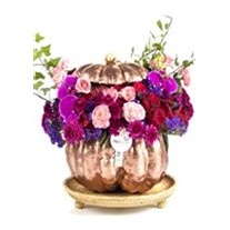 Pumpkin Purple Hope