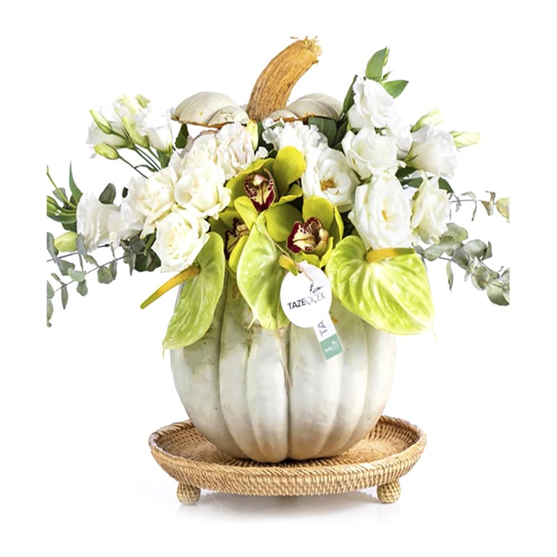 Pumpkin & Best Gifting