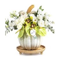 Pumpkin & Best Gifting