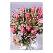 Pink Tulips - Lale