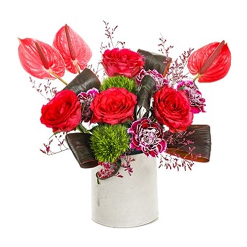 Anthurium+Love