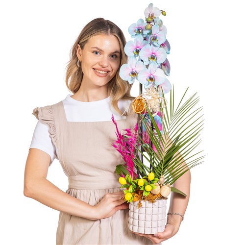 Azure Breeze Çift Dal Orkide