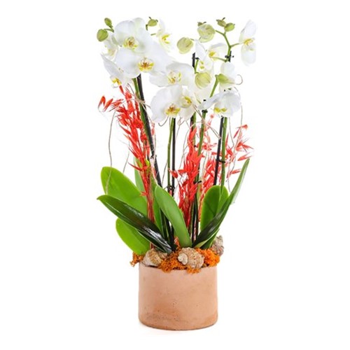 Bakır Design Six Bloom Orkide
