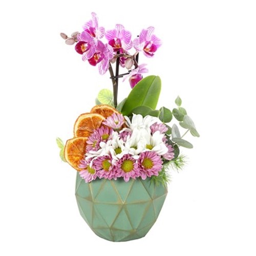 Beautiful+Seasonal+Garden+Orkide
