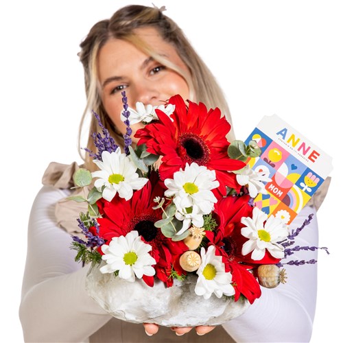 Best Mom Mini Kırmızı Gerberalar