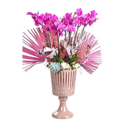 Bigger Pink Orchid