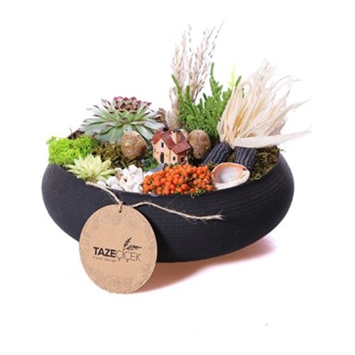 Black Design Terrarium (Teraryum)
